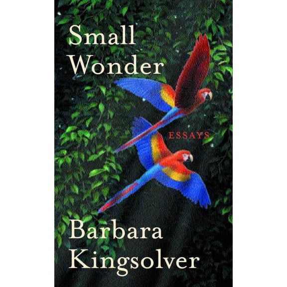 Small Wonder: Essays - Paperback