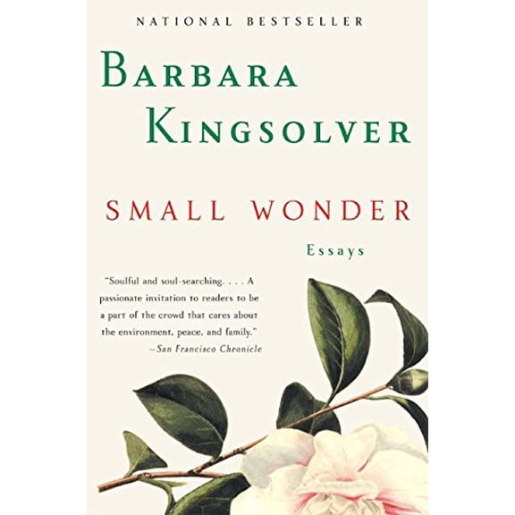 Pre-Owned Small Wonder: Essays (Paperback) 0060504080 9780060504083