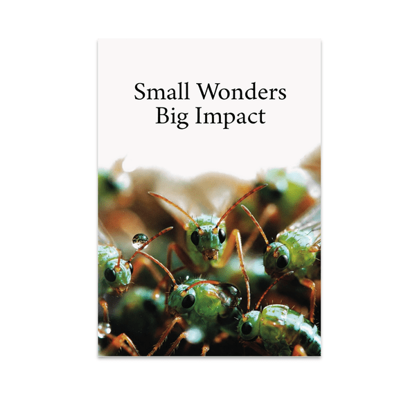 Small Wonders Big Impact - Environmental Advocate - 13x19 Poster Print