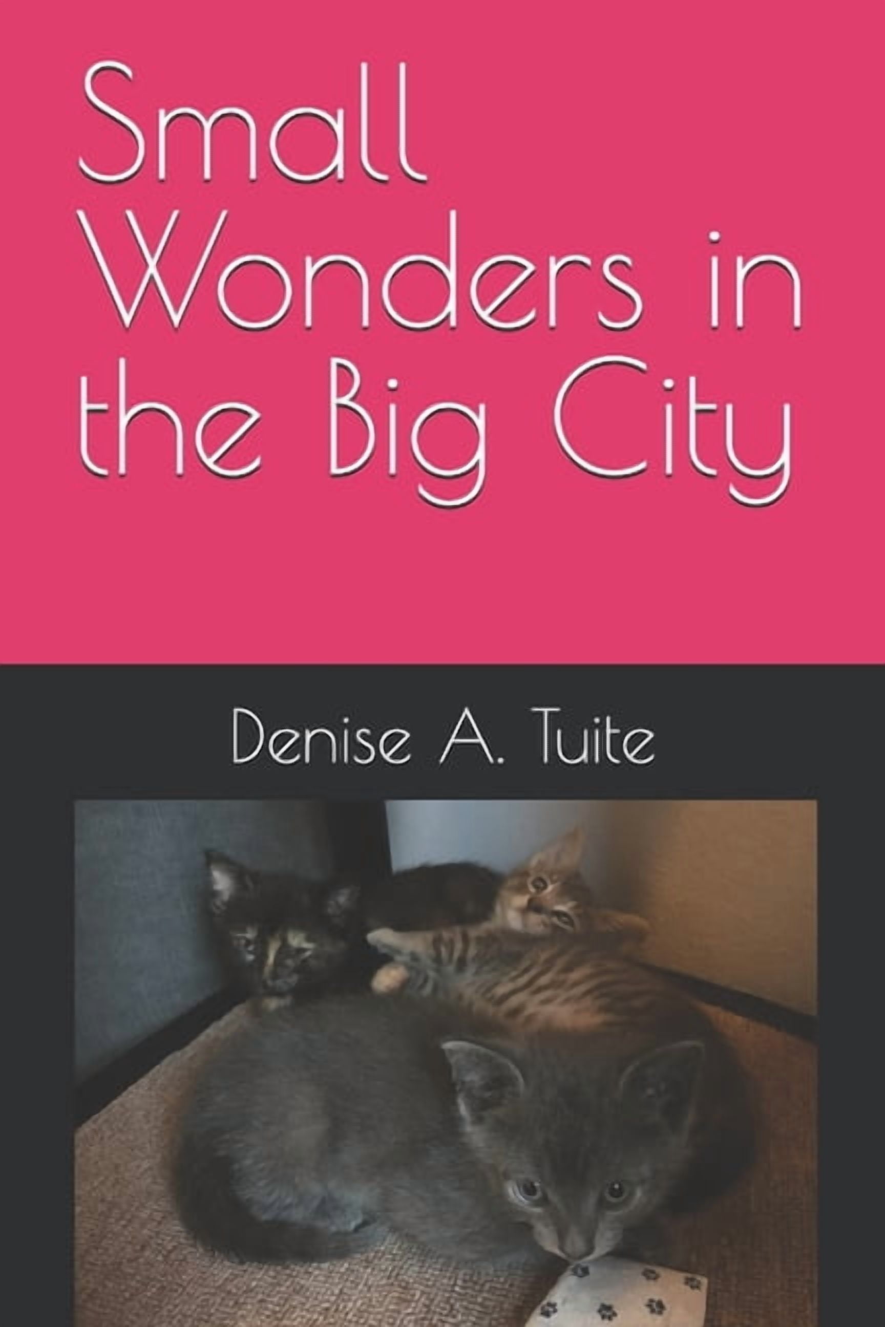 Small Wonders in the Big City, (Paperback)