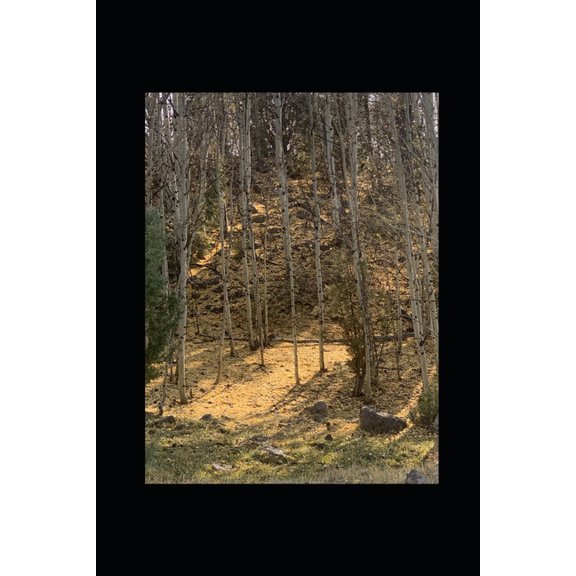 Small Words Fall (Paperback)