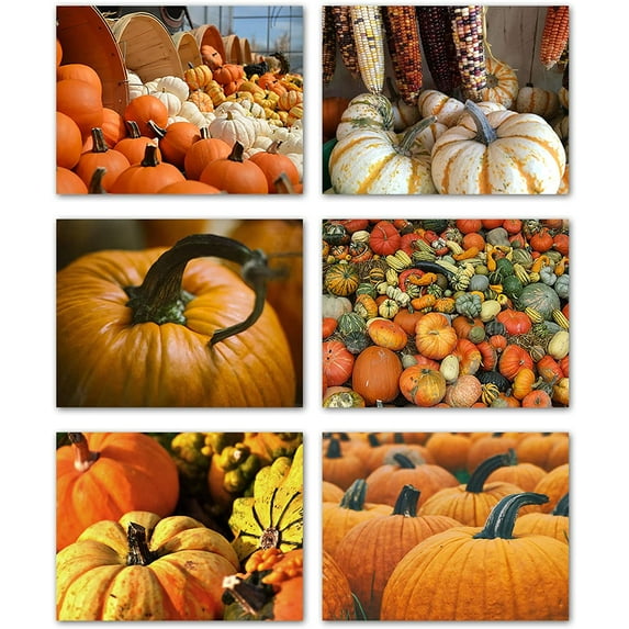 Small World Greetings Autumn Pumpkins and Gourds Cards 24 Count - Blank Inside with Envelopes - A2 Size (5.5”x4.25”) - Thanksgiving, Fall Events, Halloween, and More