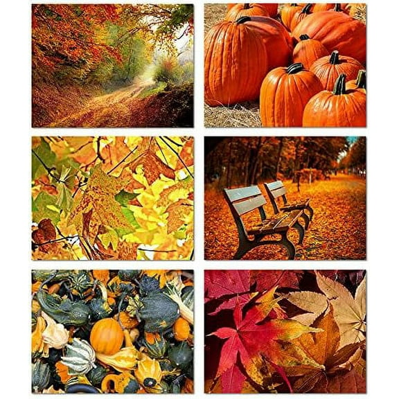 Small World Greetings Autumn Scenes Cards 24 Count - Blank Inside with Envelopes - A2 Size (5.5”x4.25”) - Thanksgiving, Fall Events, Halloween, and More