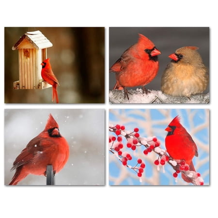 Small World Greetings Cardinal Note Cards 12 Count - Blank Inside with White Envelopes - A2 Size 5.5" x 4.25" - All Occasion Greeting Cards - Bird Stationary - Birthday, Thank You, and More