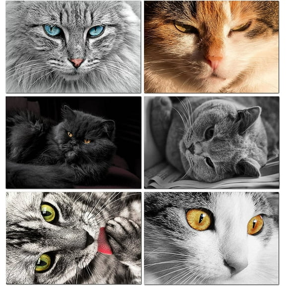 Cat Note Cards - 12 Count - 6 Designs - Blank Inside with Envelopes - A2 5.5" x 4.25"