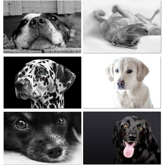 Small World Greetings Dog Note Cards 12 Count - Blank Inside with Envelopes - A2 Size 5.5" x 4.25" - All Occasion- Birthday, Thank You, and More