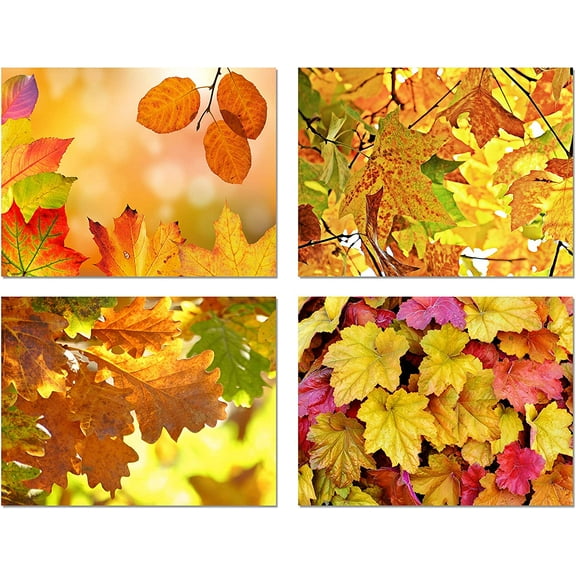 Small World Greetings Fall Leaves Cards 24 Count - Blank Inside with Envelopes - A2 Size (5.5”x4.25”) - Thanksgiving, Autumn Events, Halloween, and More