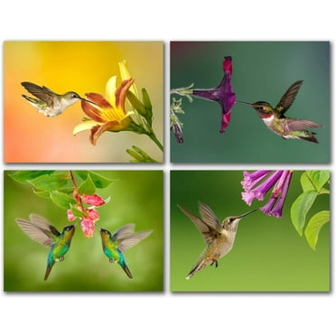 Small World Greetings Hummingbird Note Cards 24 Count - Blank Inside with White Envelopes - A2 Size 5.5" x 4.25" - Summer Greeting Cards - Bird Stationary