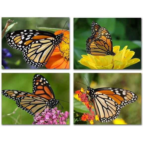 Small World Greetings Monarch Butterfly Note Cards 12 Count-Blank Inside with White Envelopes-A2 Size 5.5" x 4.25"-Summer Greeting Cards-Nature Stationery-Birthday, Thank You, and Much More