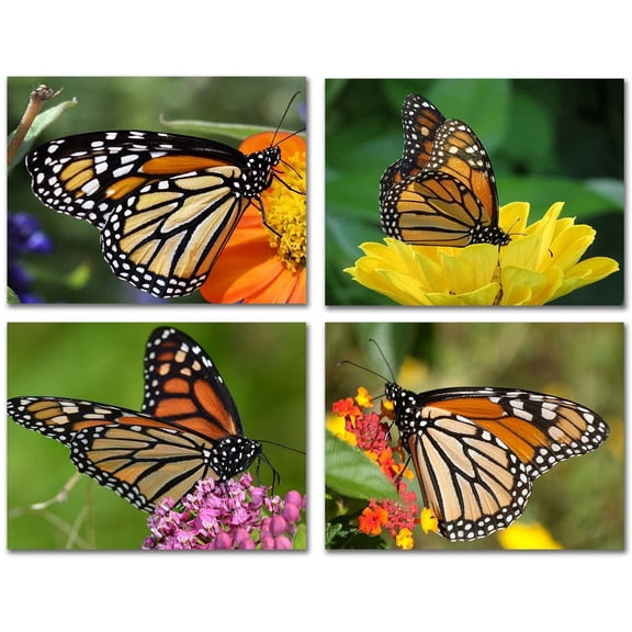 Small World Greetings Monarch Butterfly Note Cards 12 Count-Blank Inside with White Envelopes-A2 Size 5.5" x 4.25"-Summer Greeting Cards-Nature Stationery-Birthday, Thank You, and Much More