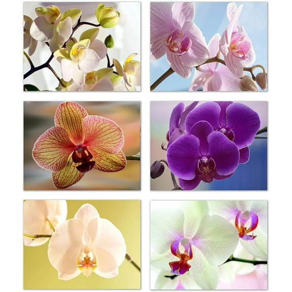 Small World Greetings Orchid Flower Note Cards 24 Count - Blank Inside with White Envelopes - A2 Size 5.5" x 4.25" - Floral Stationery - All Occasion Birthday, Thank You, and More