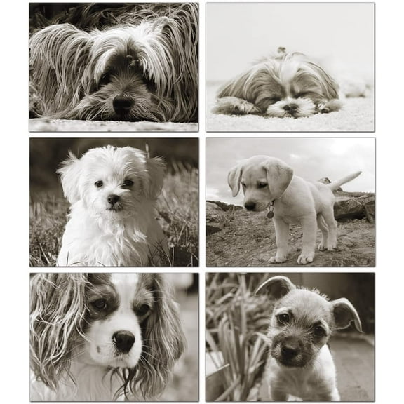 Small World Greetings Puppy Notecards 12 Count - Blank Inside with Envelopes - A2 Size (5.5”x4.25”) - All Occasions