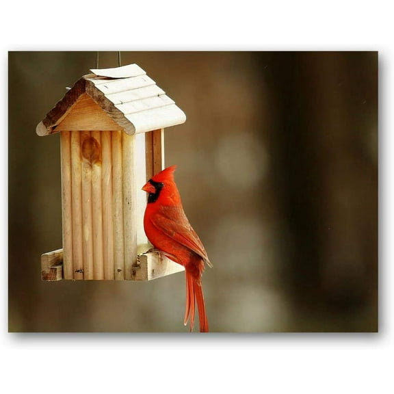 Small World Greetings Single Cardinal Note Cards 24 Count - Blank Inside with White Envelopes - A2 Size 5.5" x 4.25" - All Occasions - Bird Stationery - Birthday, Thank You, and More