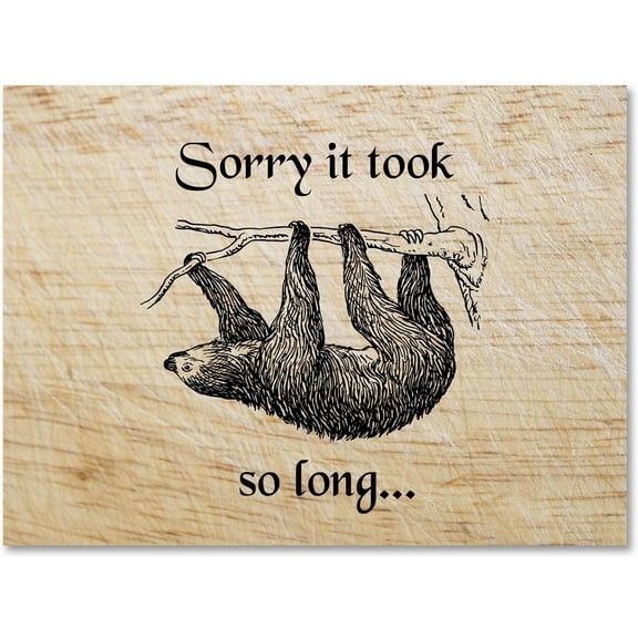 Small World Greetings Sorry It Took So Long Sloth Greeting Card 12 Count - A2 Size (5.5"x4.25")