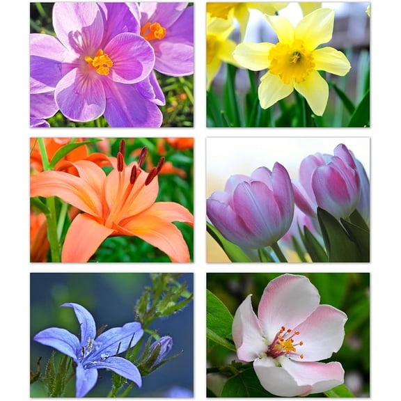 Floral Note Cards 24 Pack with Envelopes – Spring Flower Photography, 6 Designs, Blank Inside – A2 Size 5.5" x 4.25" – Thank You, Birthday, Sympathy, Just Because & More