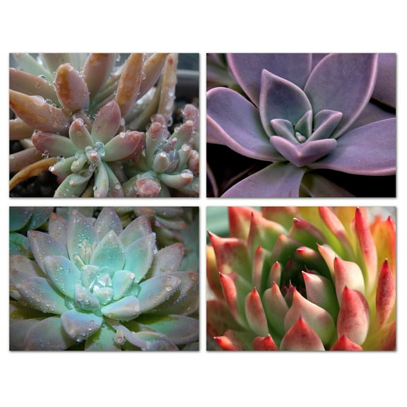 Small World Greetings Succulent Cards 24 Count - Blank Inside with White Envelopes - A2 Size 5.5" x 4.25" - All Occasion Birthday, Thank You, and More