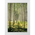thumbnail image 1 of Small and Tall 11x14 White Modern Wood Framed Museum Art Print Titled - Small and Tall, 1 of 4