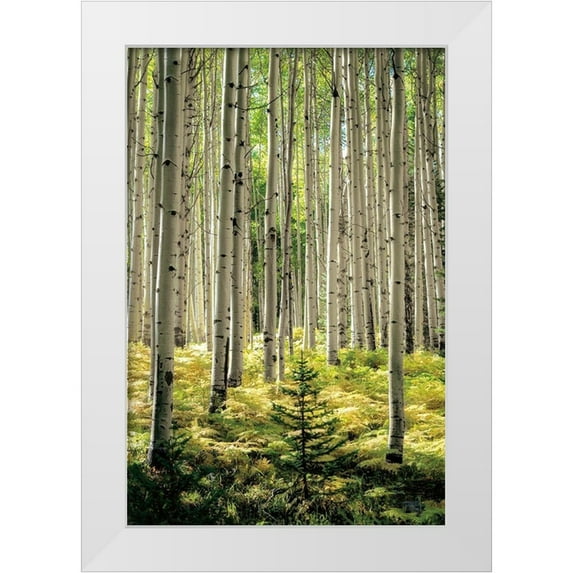 Small and Tall 11x14 White Modern Wood Framed Museum Art Print Titled - Small and Tall