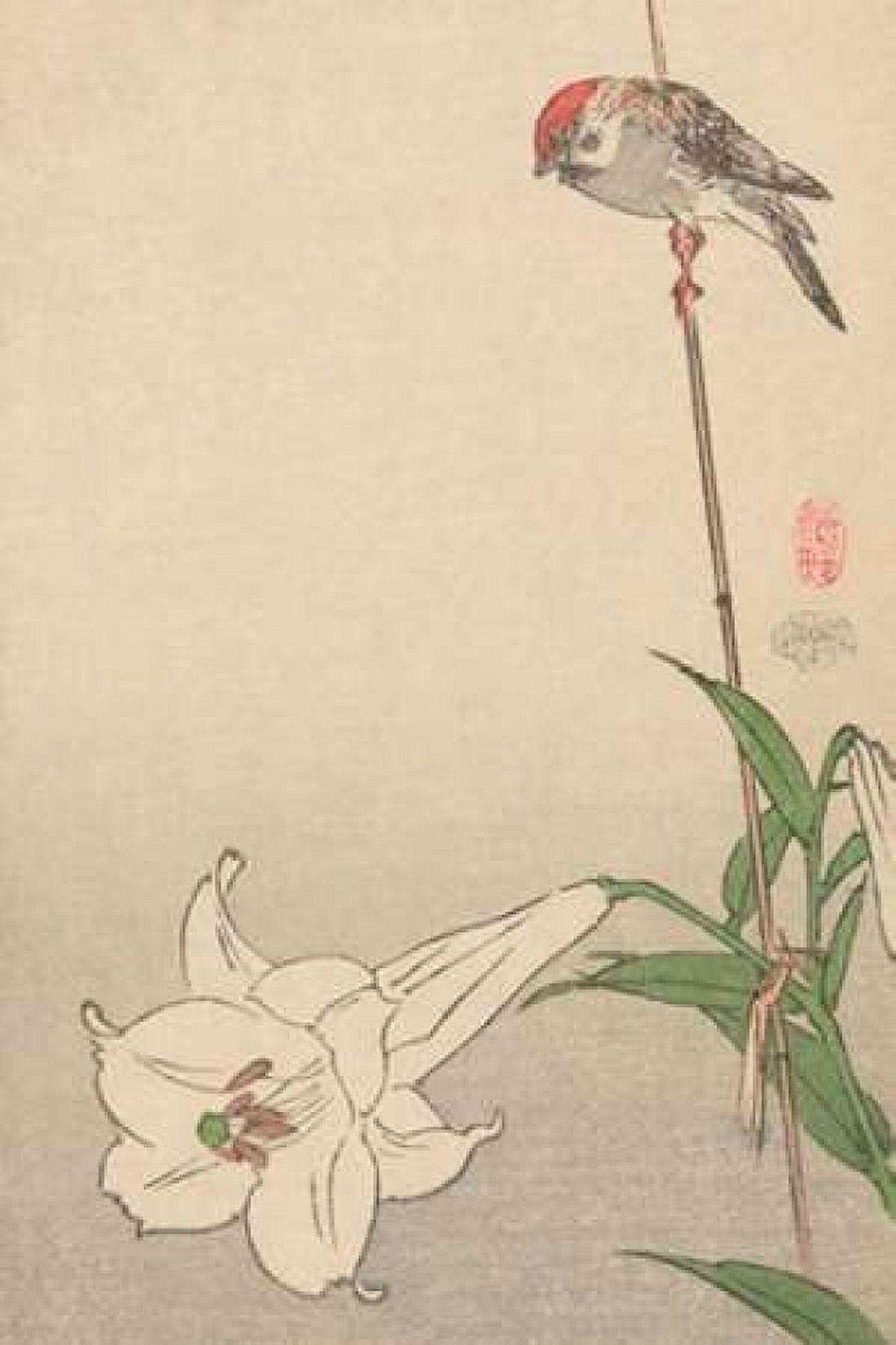 Small bird on lily plant 1893 Canvas Art - Baison (12 x 18)