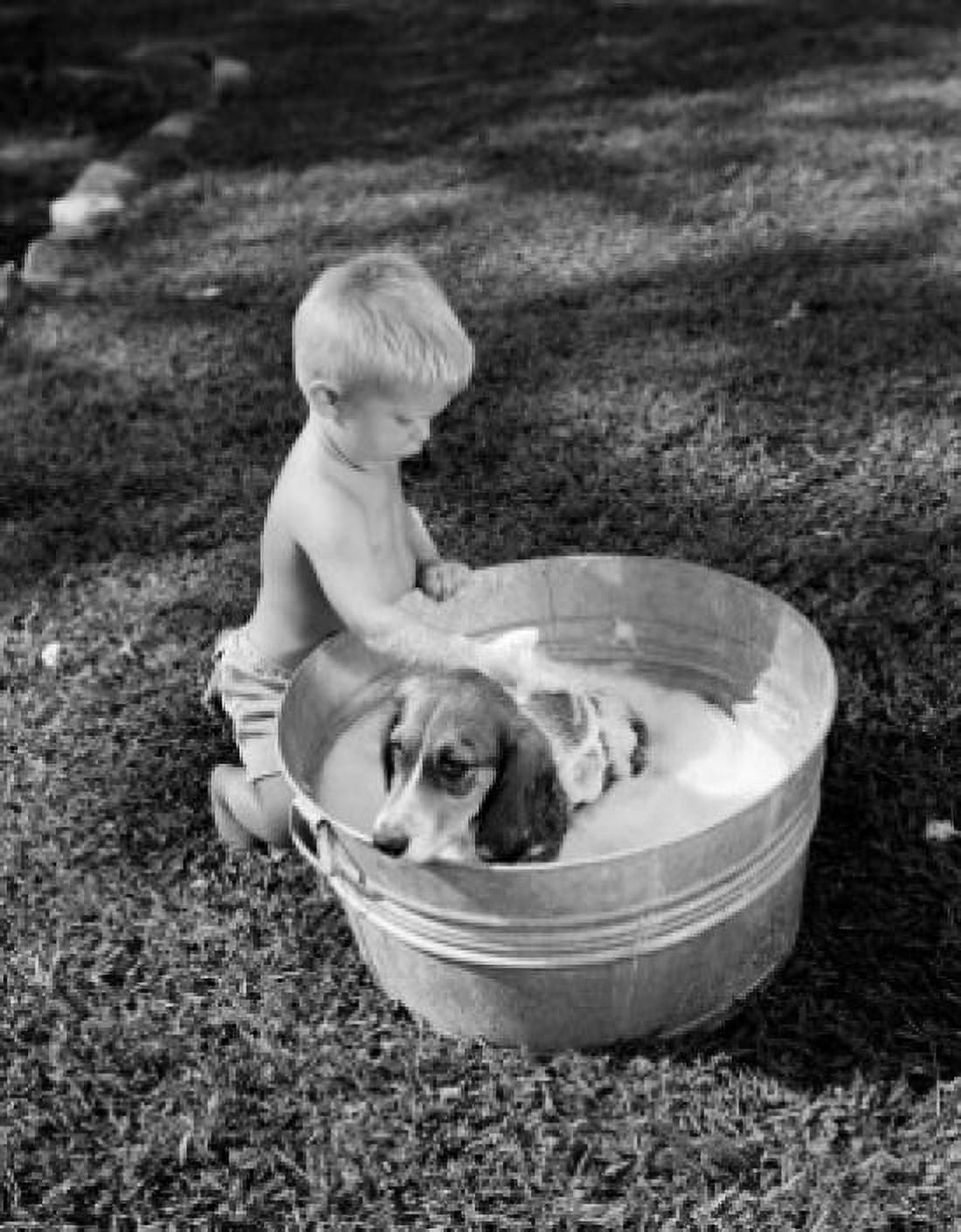 Small boy washing dog in bowl in garden Canvas Art - (24 x 36)