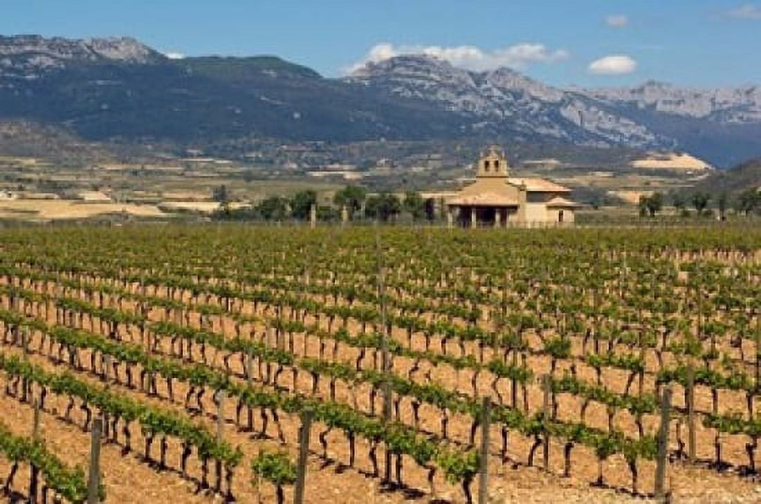 Small church next to the Wine Culture Museum Briones village La Rioja Spain Canvas Art - Janis Miglavs DanitaDelimont (24 x 15)