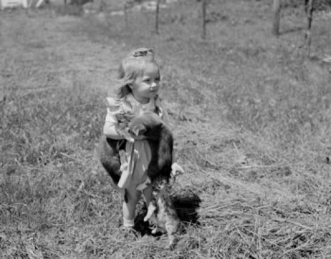 Small girl carrying cats Canvas Art - (18 x 24)