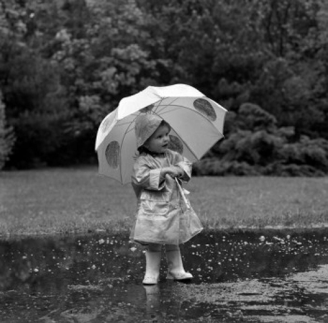 Small girl walking in rain with umbrella Canvas Art - (24 x 36)