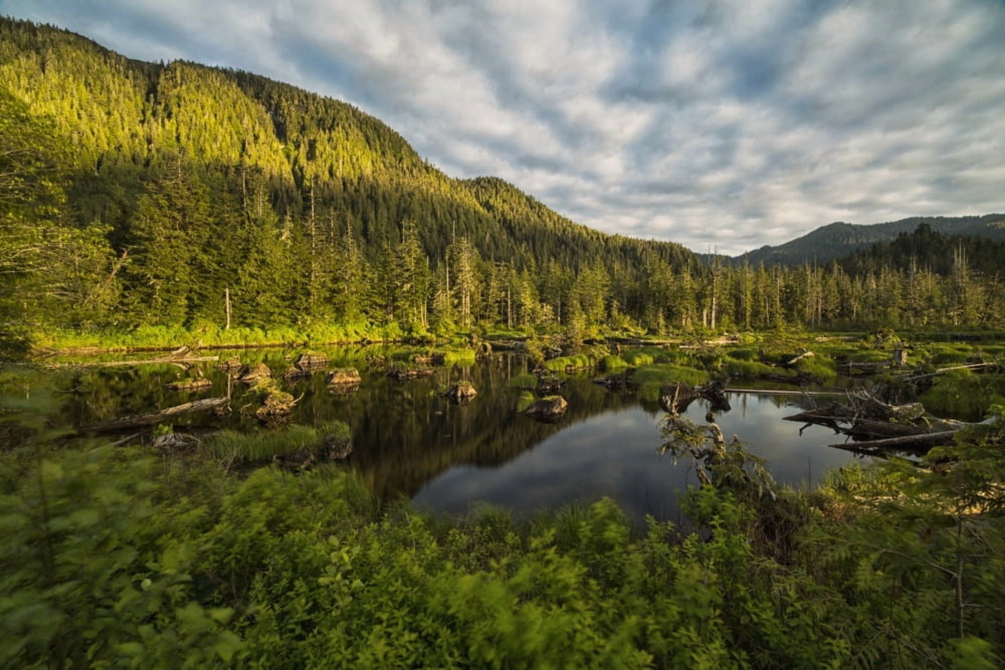 Small pond near Prince Rupert being lit by the setting sun at sunset British Columbia Canada Canvas Art - Robert Postma Design Pics (19 x 12)