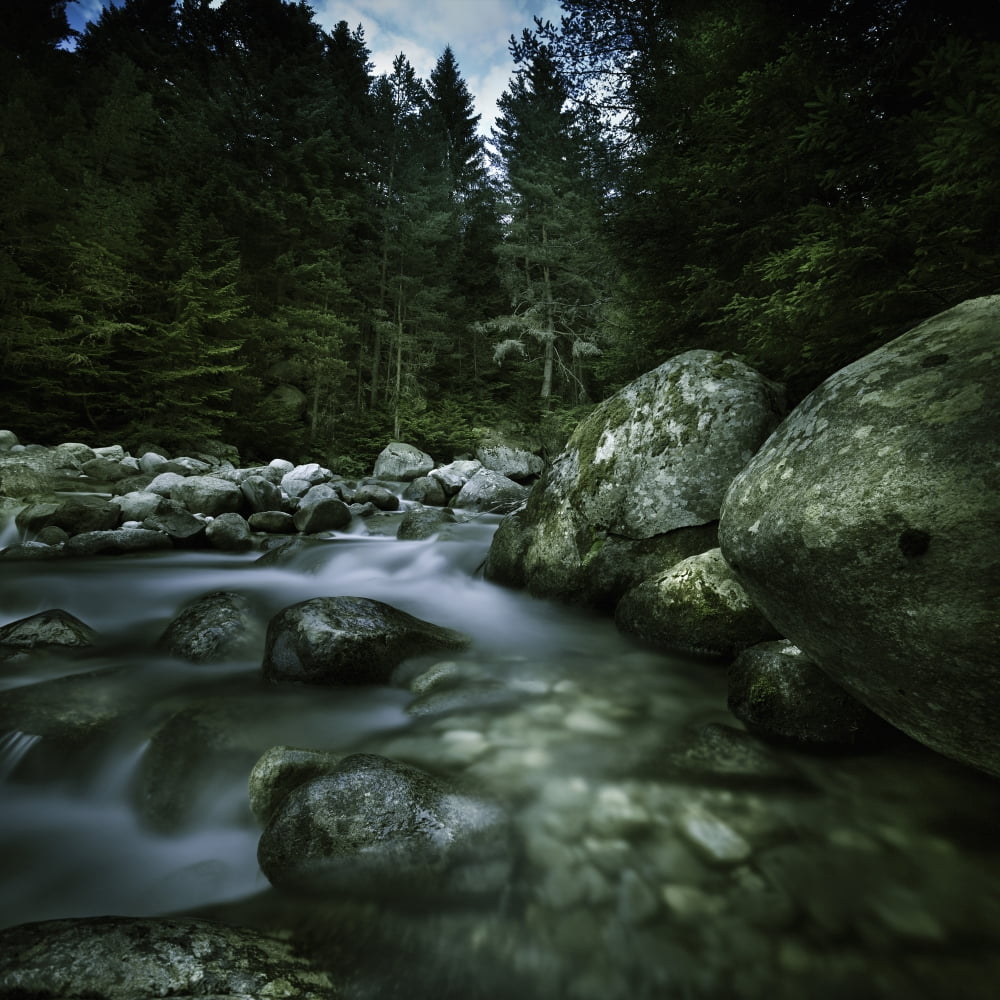 Small river flowing over big stones Pirin National Park Bulgaria Canvas Art - Evgeny KuklevStocktrek Images (29 x 29)