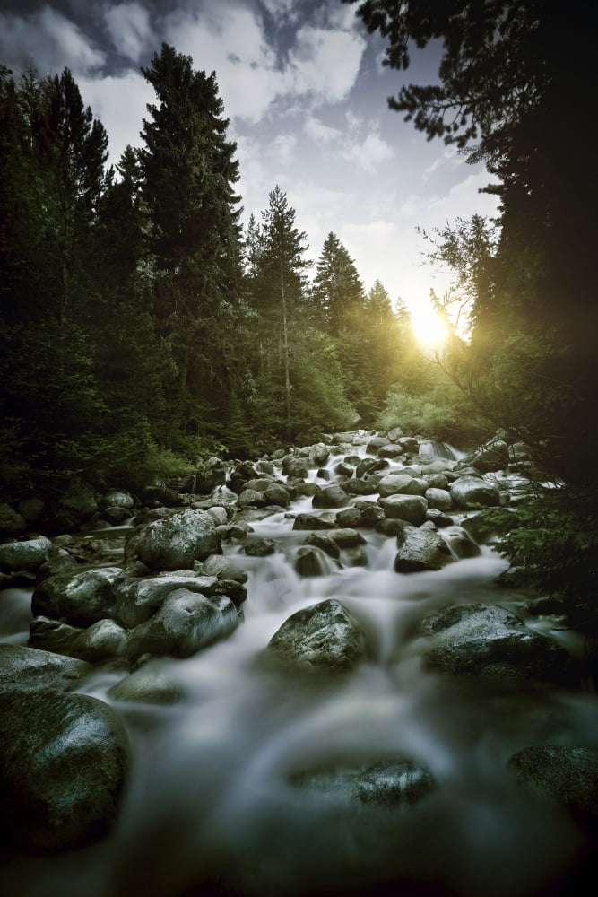 Small river flowing over large stones at sunset Pirin National Park Bulgaria Canvas Art - Evgeny KuklevStocktrek Images (23 x 35)