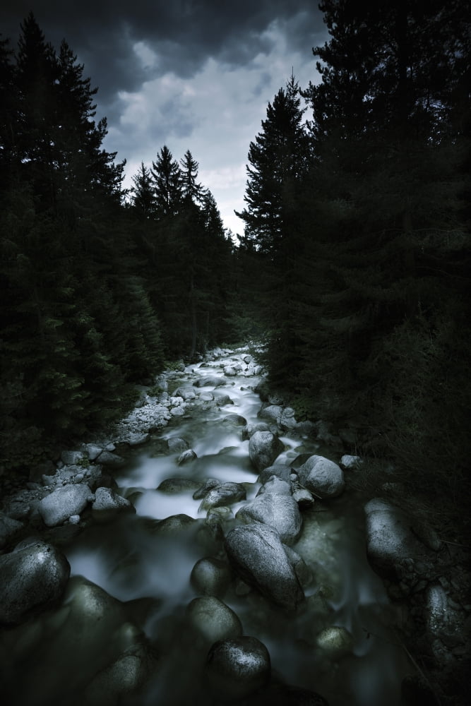 Small river flowing over large stones in the forest of Pirin National Park Bulgaria Canvas Art - Evgeny KuklevStocktrek Images (12 x 18)