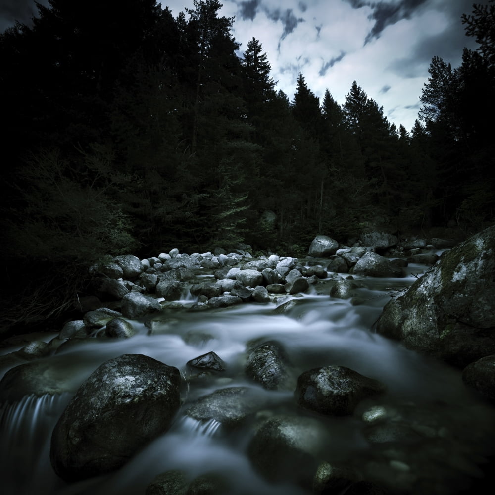 Small river flowing over stones covered with moss Pirin National Park Bulgaria Canvas Art - Evgeny KuklevStocktrek Images (29 x 29)