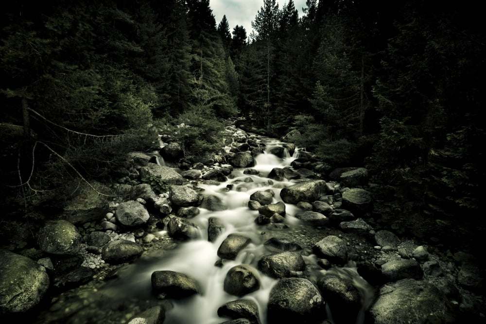 Small river in a forest flowing over big stones Pirin National Park Bulgaria Canvas Art - Evgeny KuklevStocktrek Images (35 x 23)