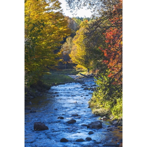 Small river with rocks in autumn Ways Mills Quebec Canada Canvas Art - David Chapman Design Pics (12 x 19)