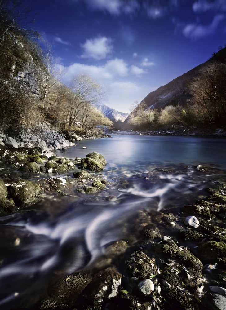 Small stream flowing into the mountain river Ritsa Nature Reserve Canvas Art - Evgeny KuklevStocktrek Images (12 x 17)