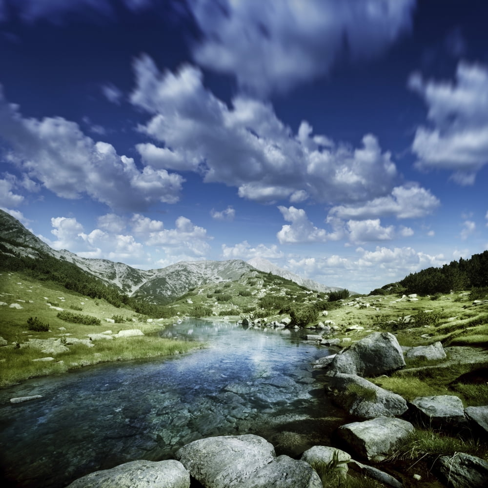 Small stream in the mountains of Pirin National Park Bansko Bulgaria Canvas Art - Evgeny KuklevStocktrek Images (29 x 29)