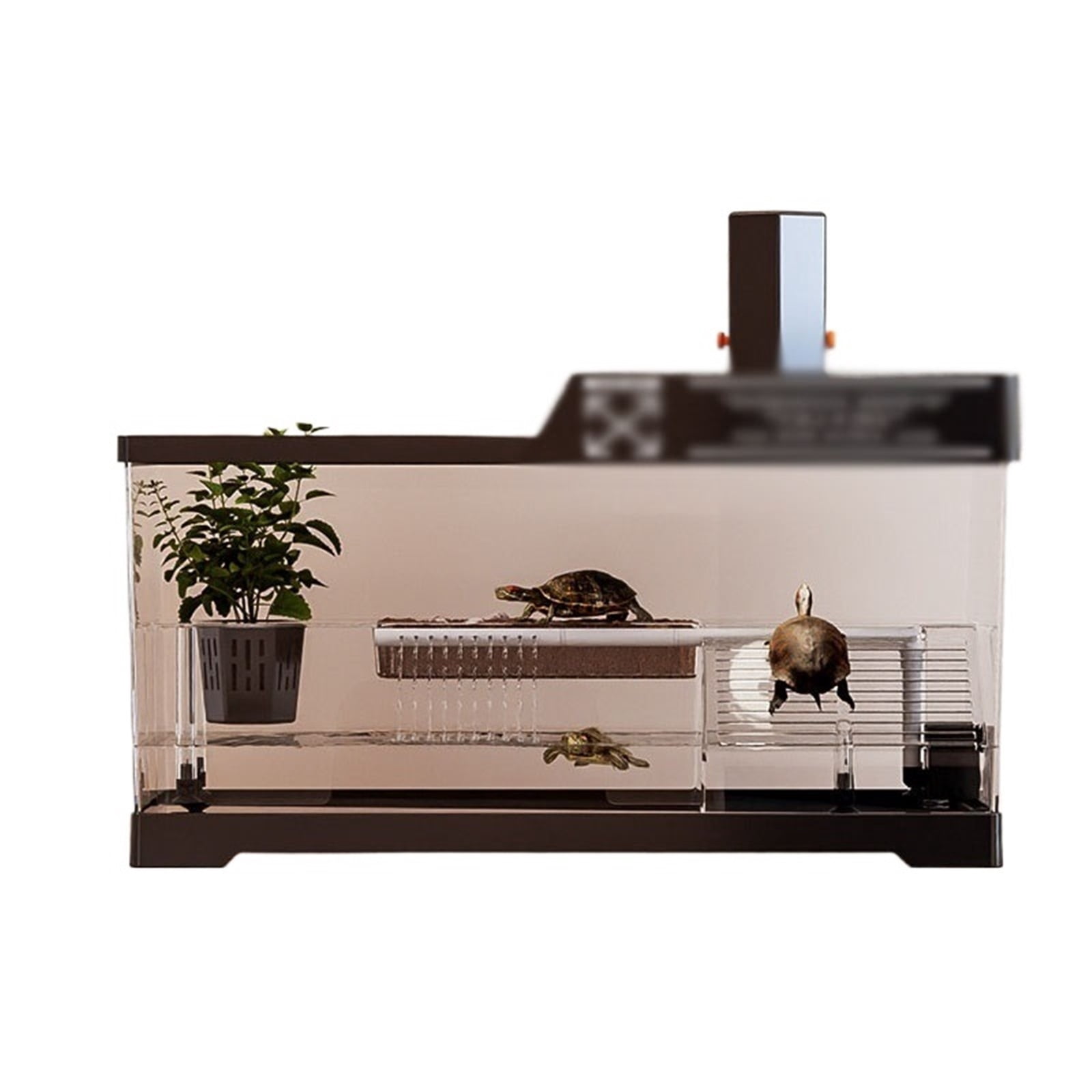Small turtle tank with sun drying platform climbing platform dedicated feeding