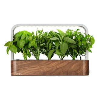 Smart Plants