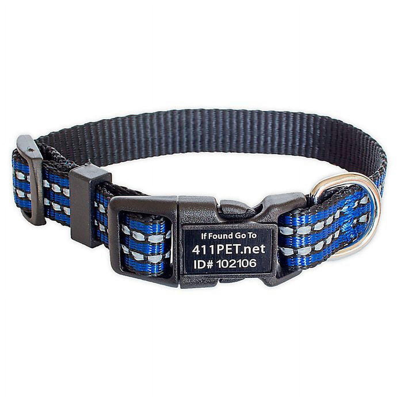 Smart buckle collar sales