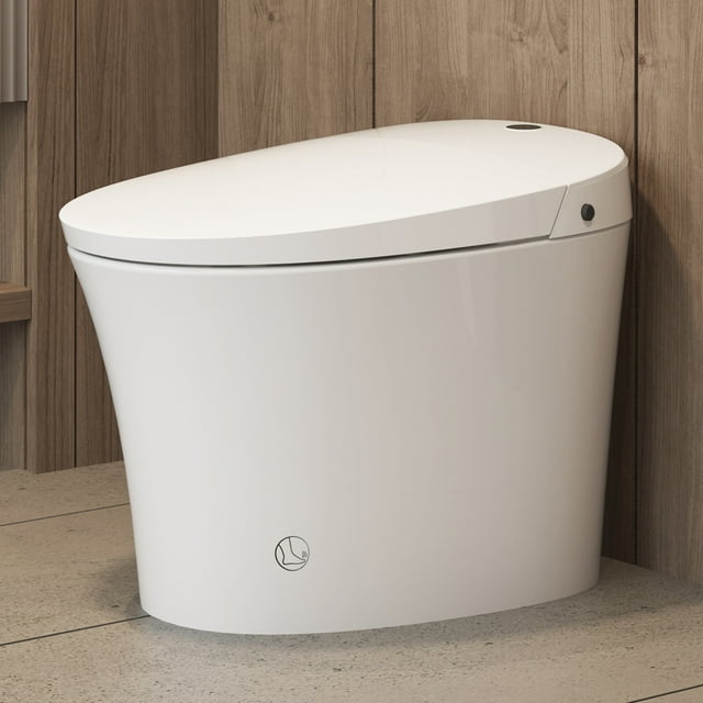 Smart Bidet Toilet, DualFlush Elongated Toilet Bidet,Warm Water Clear