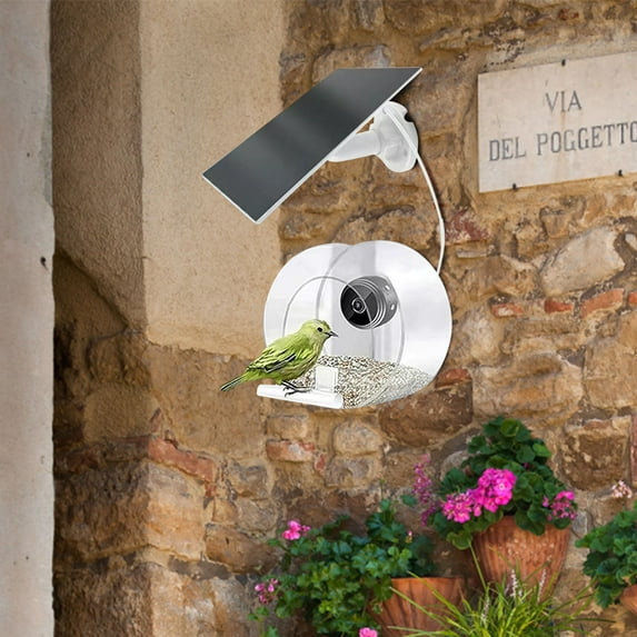 Smart Bird Feeder with 1080P HD Camera | Solar Powered Outdoor Bird Watching | WiFi Remote Monitoring | 170° Wide Angle Night Vision | Built-in Microphone | IP66 Waterproof | Gift for Bird Lovers