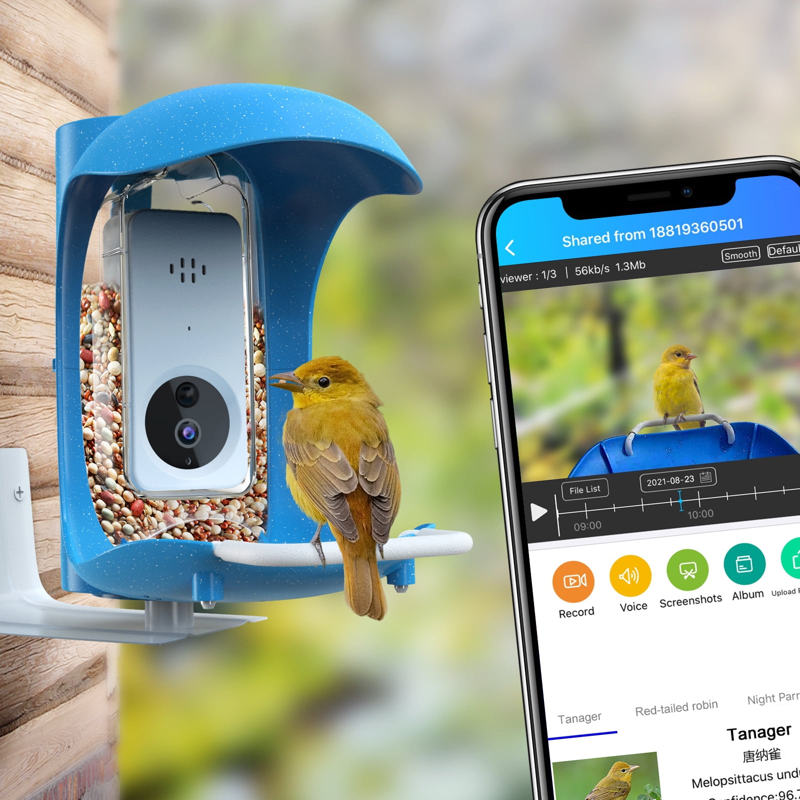 Smart Bird Feeder App Notification AI Recognition and Automatic Bird Sensing Bird House Bird Feeder Outdoor Wild Bird feeders Popular with Birds Walmart