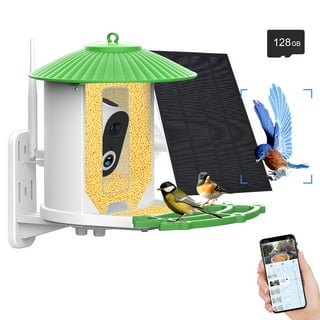 CPVAN Bird Feeder with Camera,2.4G WiFi Wireless,Bird Watching Camera Auto Capture Bird Videos & Motion Detection,Bird House Camera,IP65 Waterproof HD