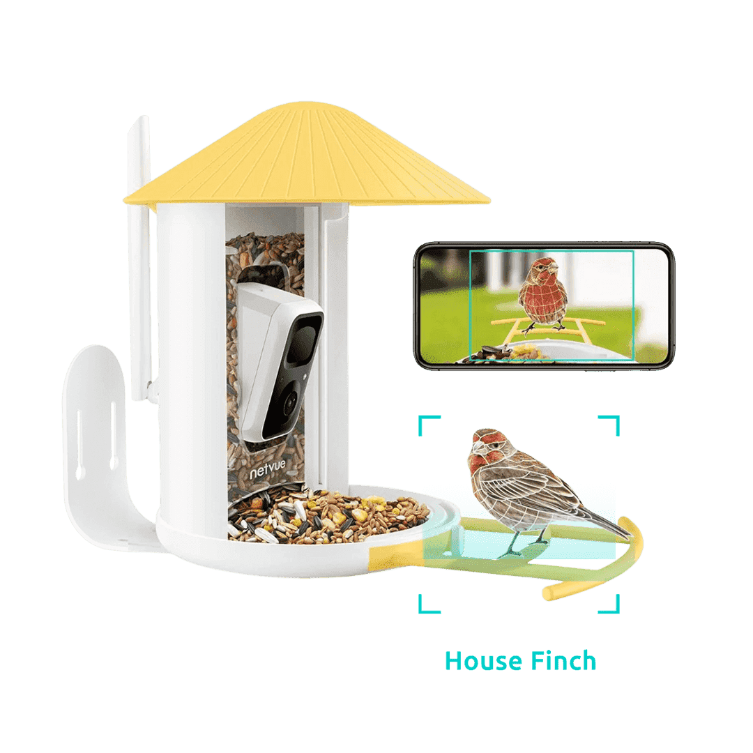 Smart Bird Feeder with Camera, Netvue Birdfy Bird Watching Camera, Auto Capture Bird Videos & Motion Detection, Wireless Camera Ideal Present for Bird Lover