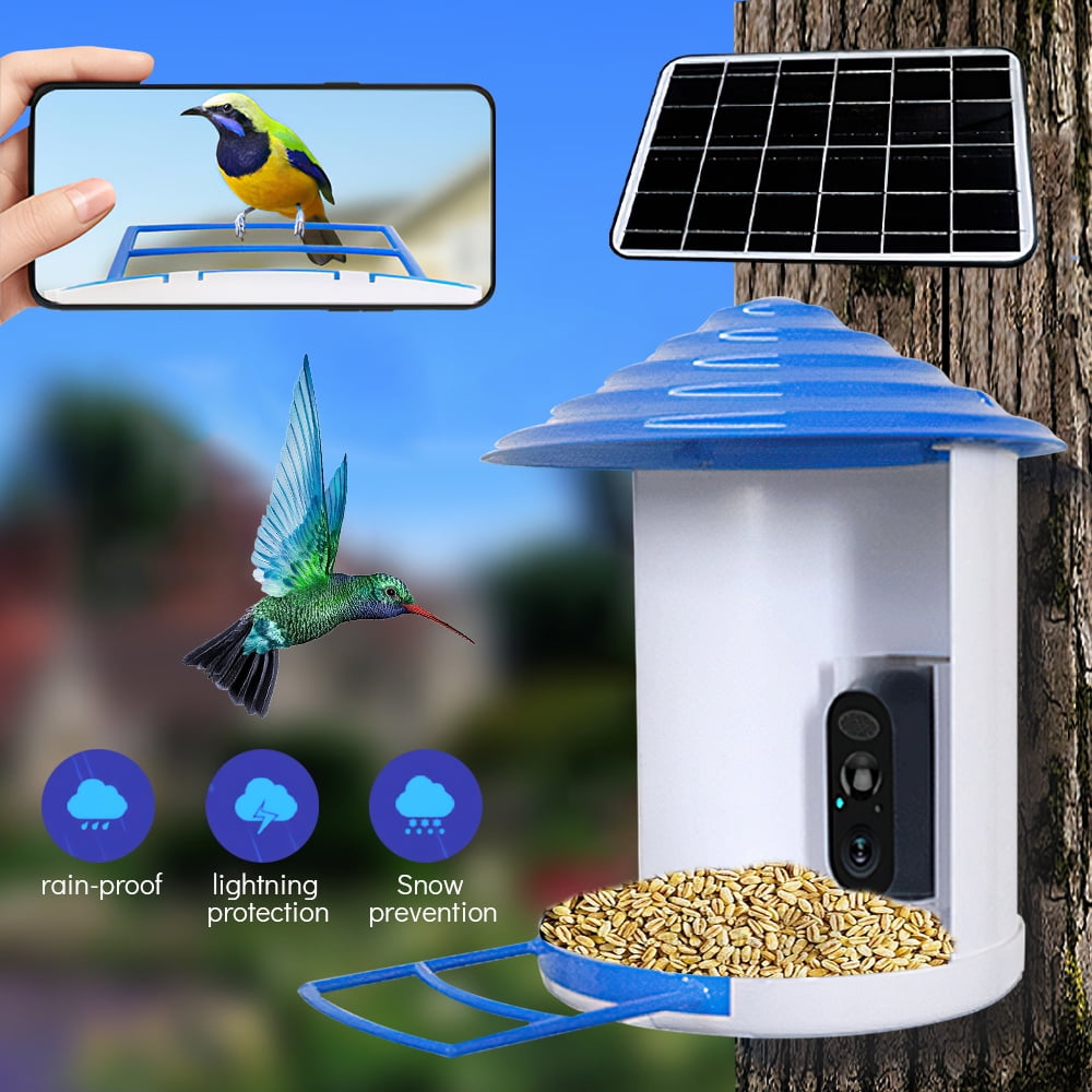 Smart Bird Feeder with Camera Wireless Outdoor, Auto Capture Bird