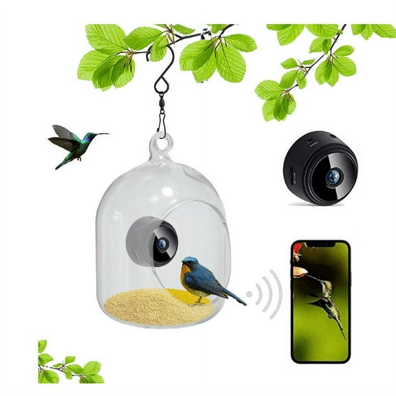 Smart Bird Feeder with Camera Wireless Outdoor, Feeders for Outside, Solar Energy Generation, 1080P HD, APP Connection, IP65 Waterproof, AI Identify Species