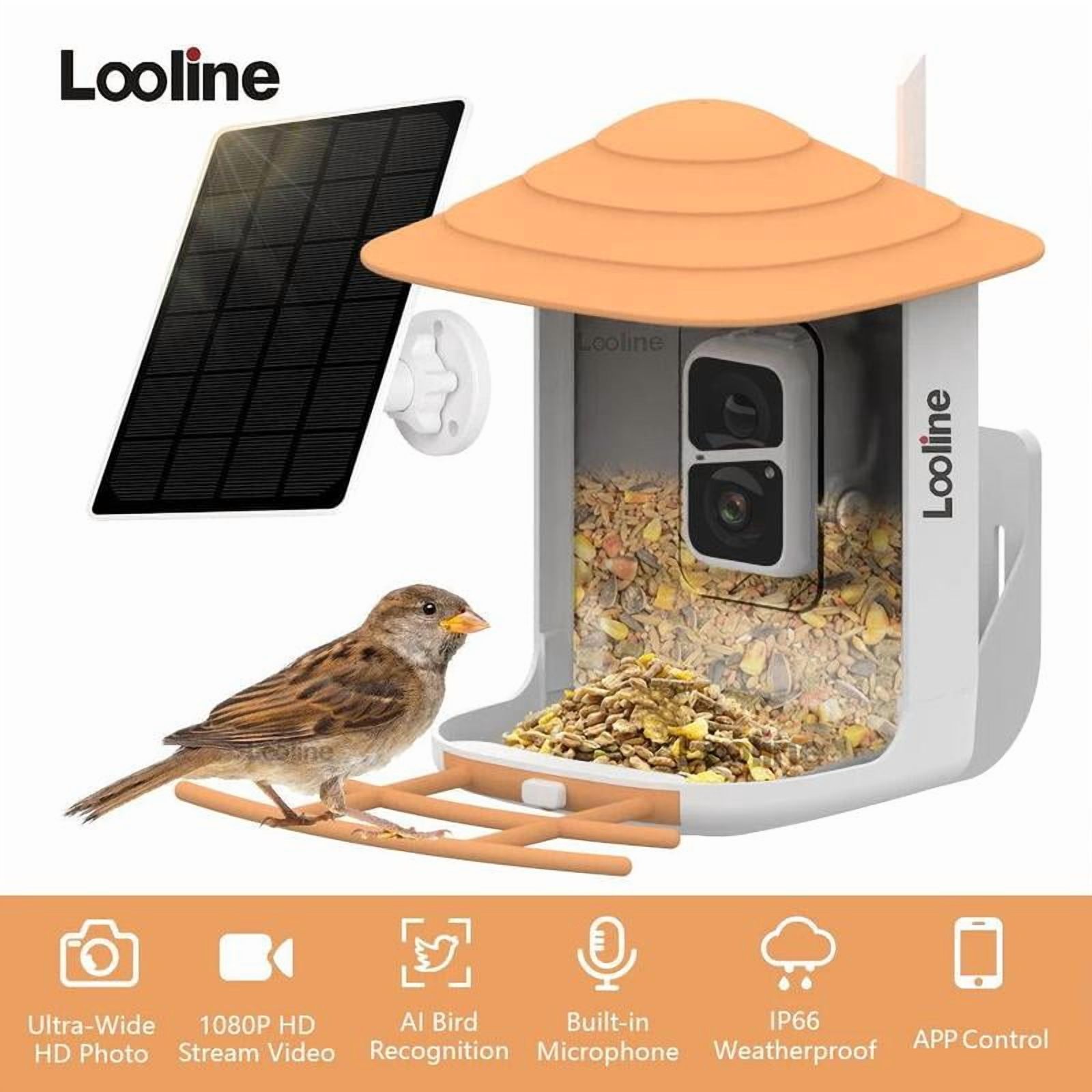Smart Bird Feeder Camera with Solar Panel Wifi Wireless 1080P HD Bird ...