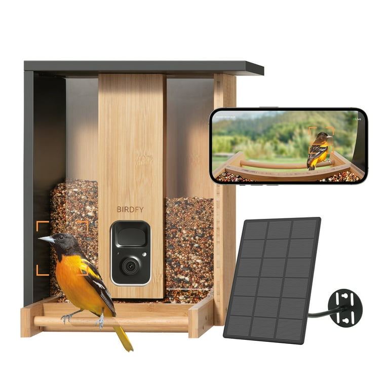 Birdfy- Smart Bird Feeder Camera, Auto-Record & Notify Bird Visits,  Identify 6000+ Bird Species,Bird feeder with Camera,Bird Box Camera, Bird  Camera, Xmas Gift for Bird Lovers(Birdfy AI +Solar) : : Garden