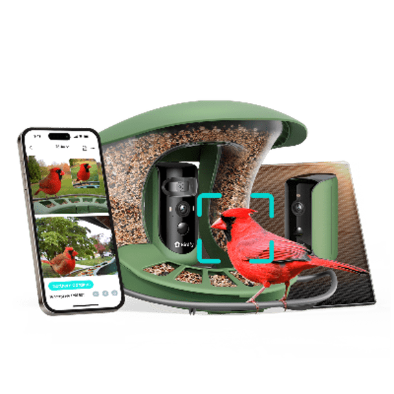 Birdfy Smart Bird Feeder with Camera, 5W Solar Powered, Dual Cameras Auto-Capture Close-Ups & Lifetime Free 99% Accurate AI Bird Identification, Perfect Gift for Bird Lovers