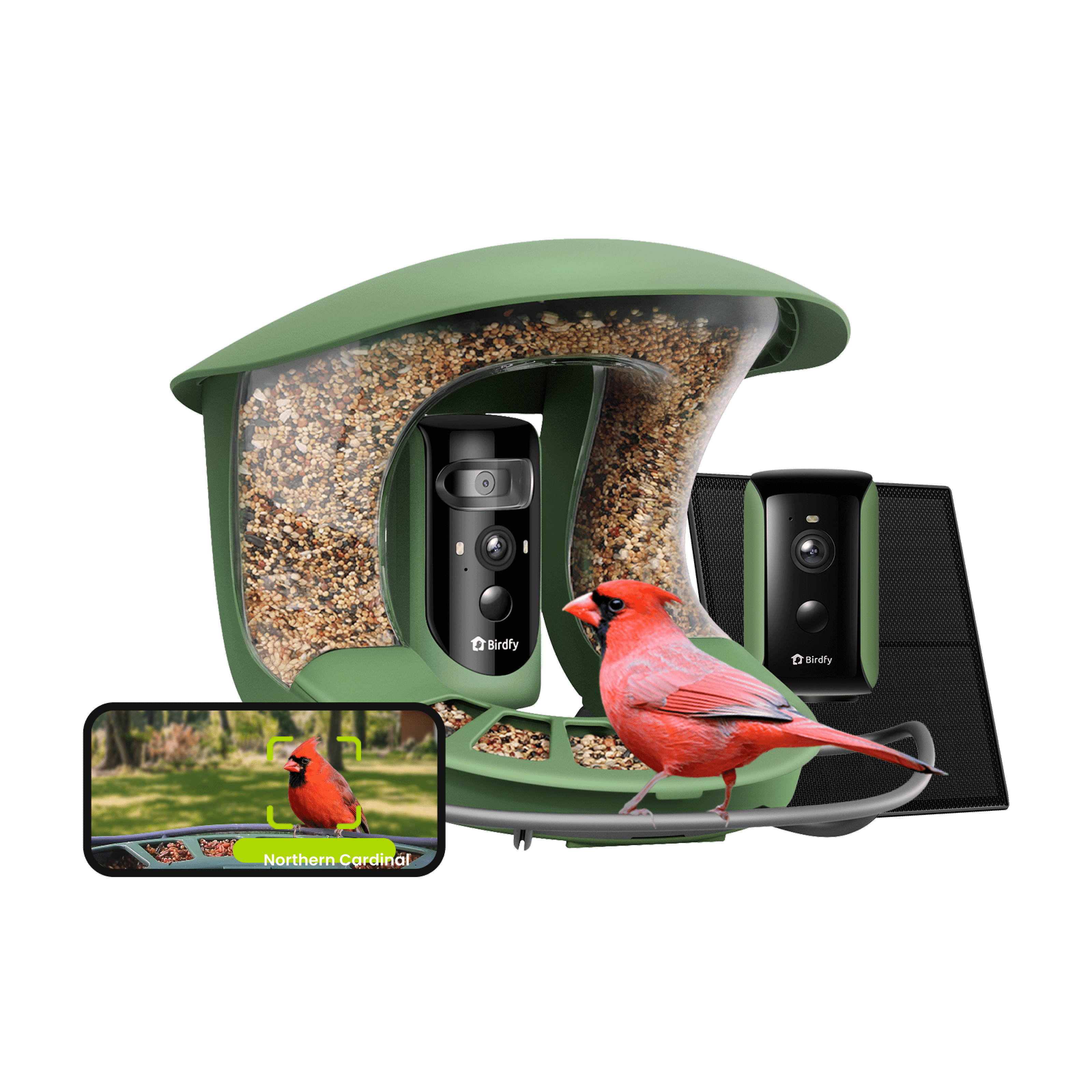 Birdfy Smart Bird Feeder with Camera, 5W Solar Powered, Dual Cameras Auto-Capture Close-Ups & Lifetime Free 99% Accurate AI Bird Identification, Perfect Gift for Bird Lovers
